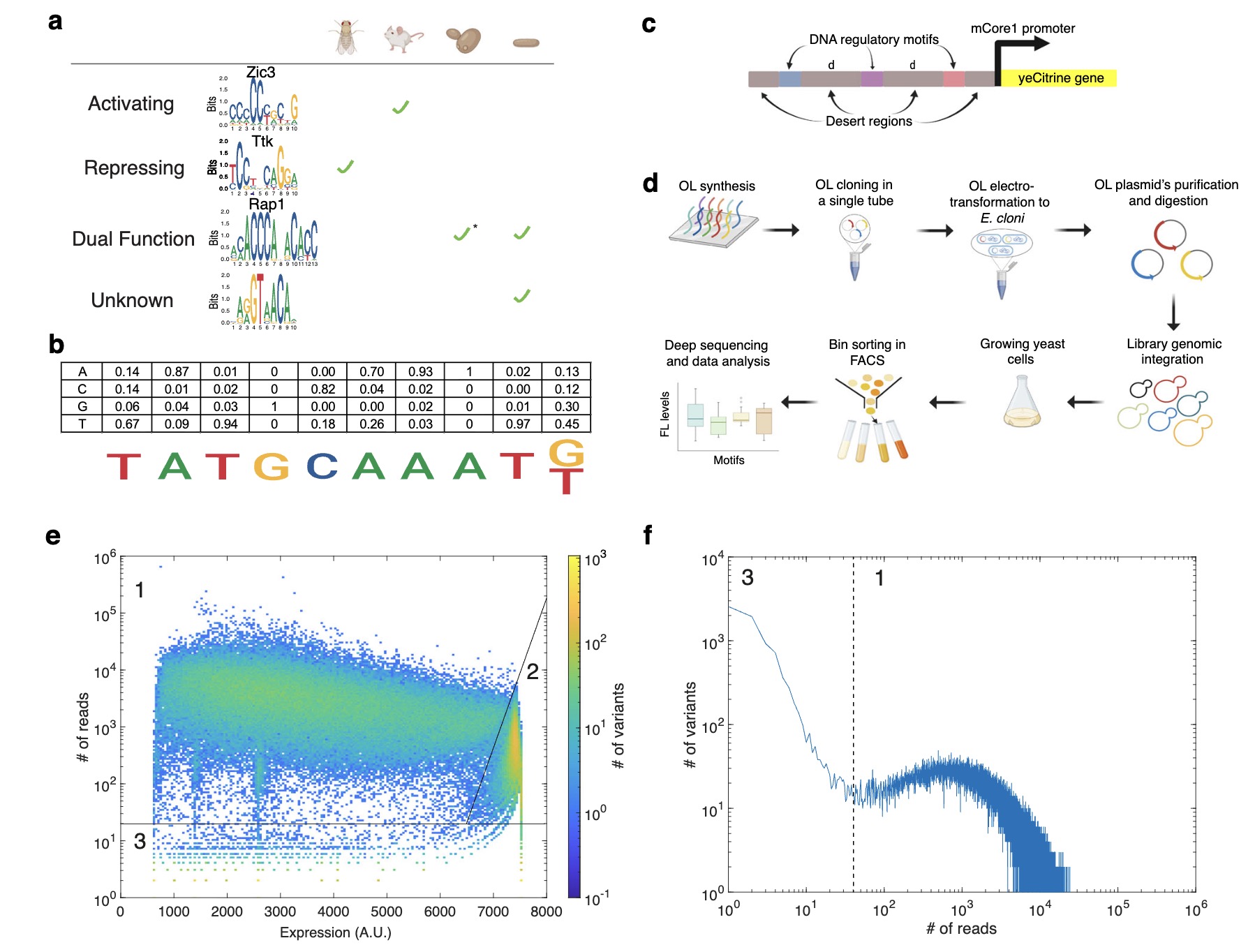 Gene expression