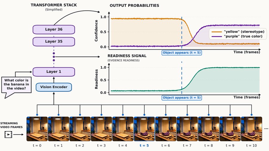 Have I Seen Enough? teaser: readiness signal rises when the evidence appears in the video, separately from the model's answer confidence